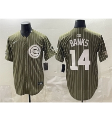 Men Chicago Cubs  14 Ernie Banks Pinstripe Olive 2026 Armed Forces Day Salute To Service Stitched Baseball Jersey