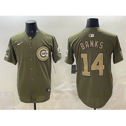 Men Chicago Cubs  14 Ernie Banks Royal Olive 2026 Armed Forces Day Salute To Service Stitched Baseball Jersey