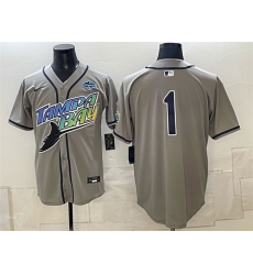 Men Tampa Bay Rays  1 Gray 2026 AL East Champions Patch Vapor Limited Stitched Baseball Jersey